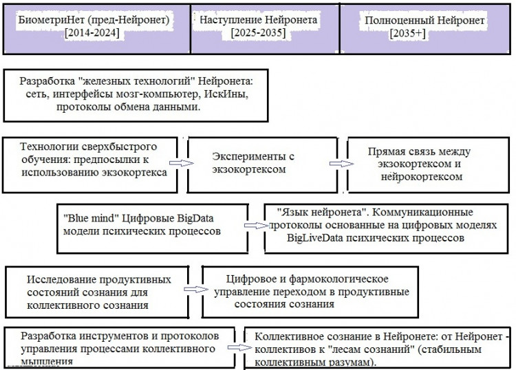 The Neuronet